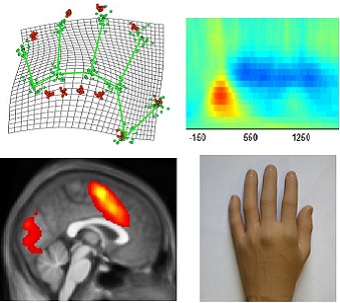 Collage of BodyLab Research