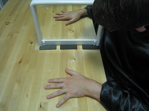 Mirror Box Illusion