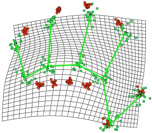 Distorted Perceptual Hand Map